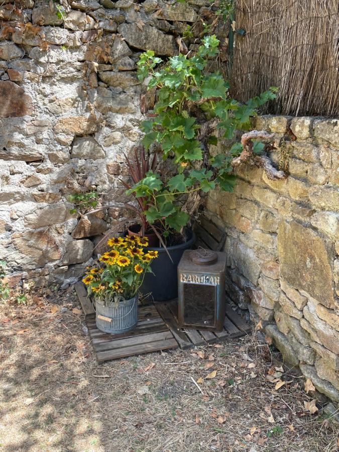 Le Patio, Coeur De Ville Avec Garage Et Jardin Vannes Ngoại thất bức ảnh